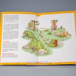 Fichier - Jeux du monde, d'ici et d'ailleurs - vue 4