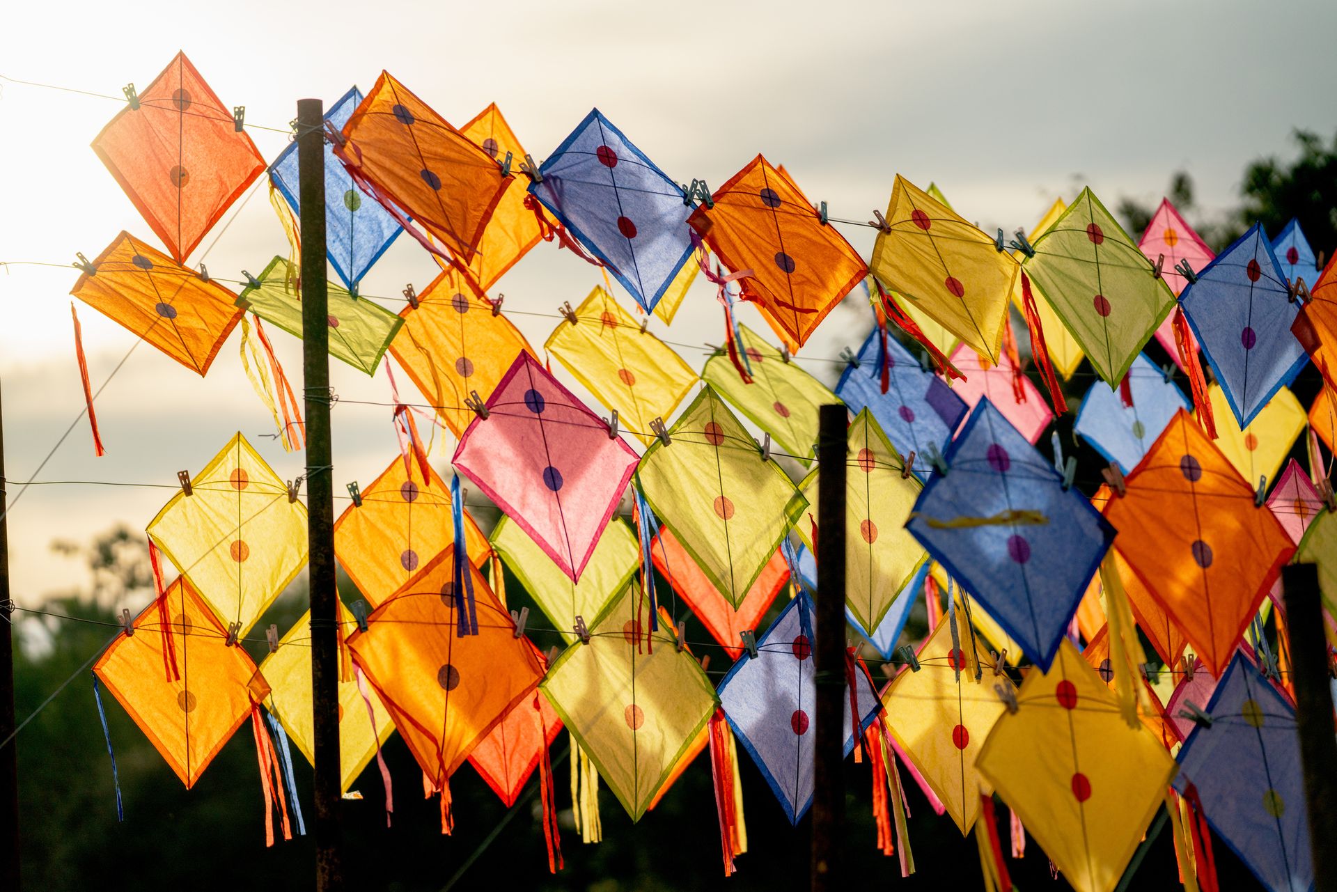 Découvrez & commandez ##nos ressources ##pédagogiques